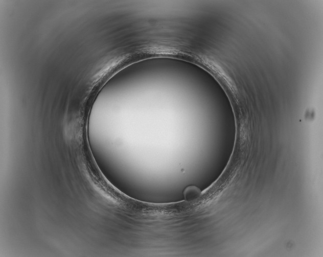 X0000091220533200708091410