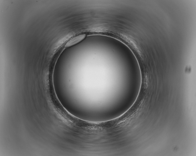 X0000091220535200708091410