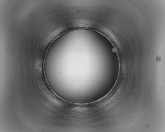 X0000091220537200708091410