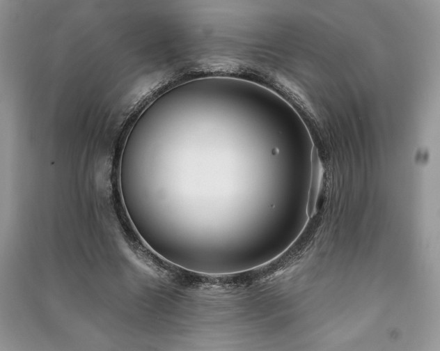 X0000091220538200708091410