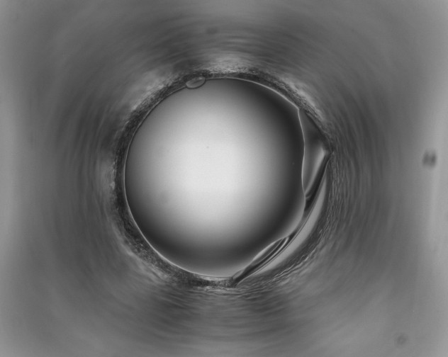 X0000091220539200708091410