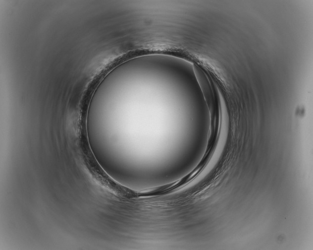 X0000091220540200708091410