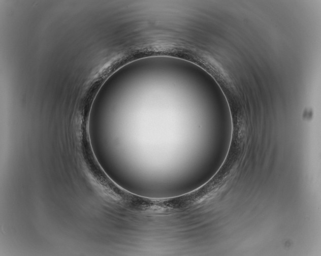 X0000091220542200708091410