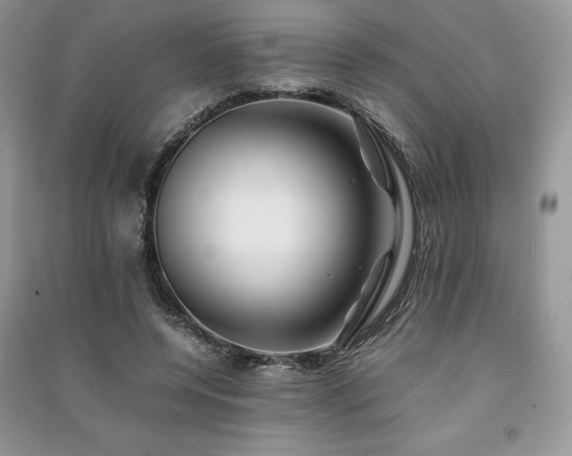 X0000091220544200708091410