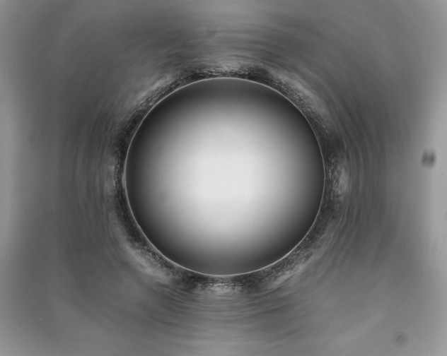 X0000091220546200708091410