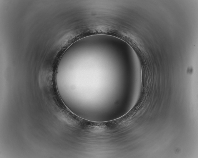 X0000091220548200708091410