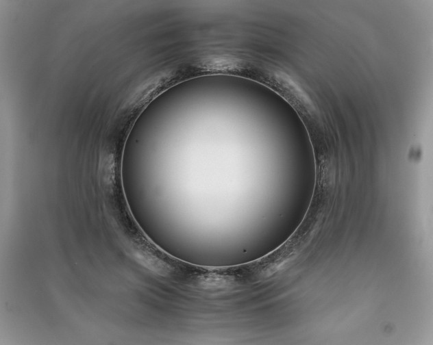 X0000091220549200708091410