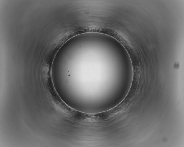 X0000091220550200708091411