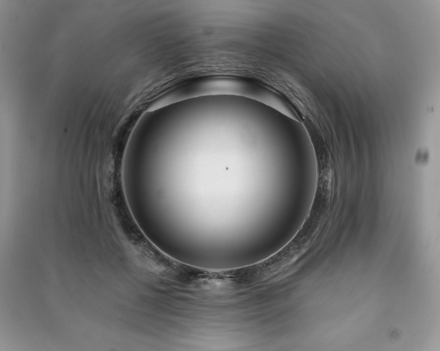 X0000091220552200708091411