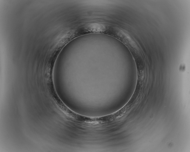 X0000091220553200708091411