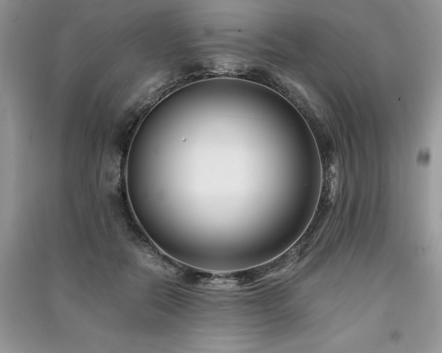 X0000091220554200708091411