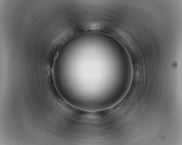 X0000091220555200708091411