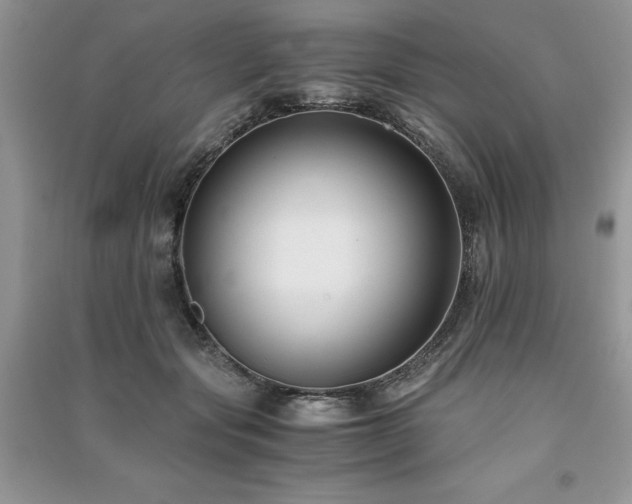 X0000091220557200708091411