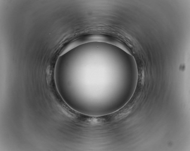 X0000091220558200708091411