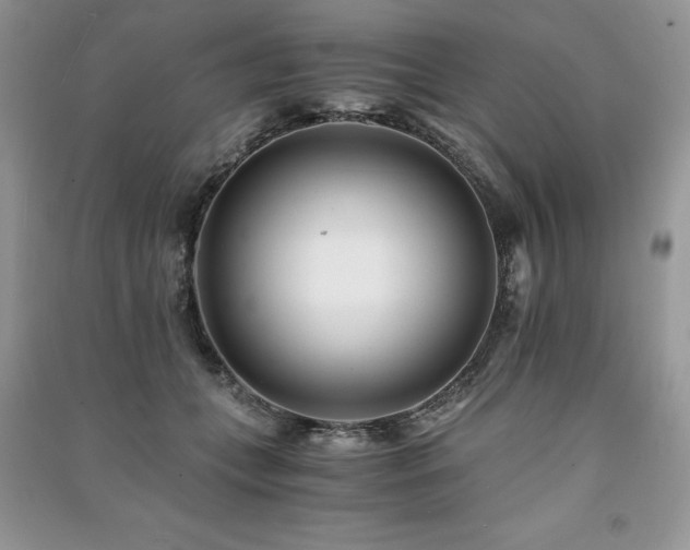 X0000091220559200708091411