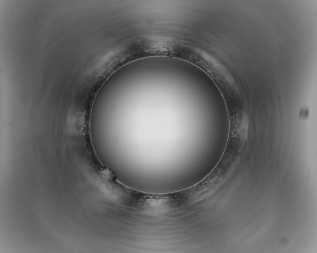 X0000091220560200708091411