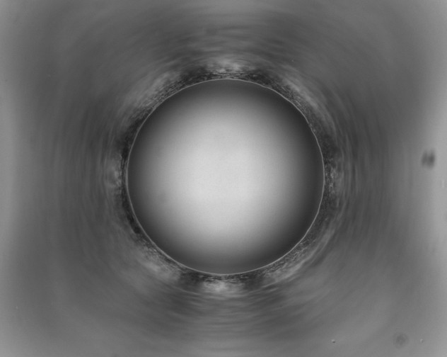 X0000091220561200708091411