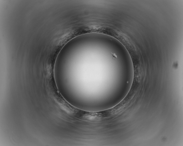 X0000091220563200708091411