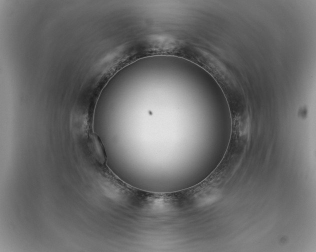 X0000091220564200708091411