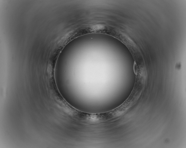 X0000091220565200708091411