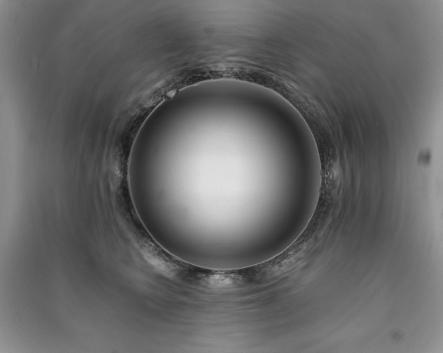 X0000091220566200708091411