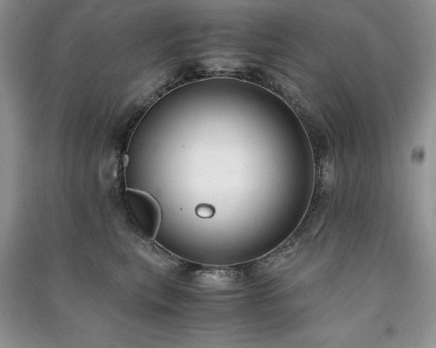 X0000091220567200708091411