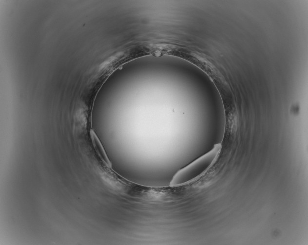 X0000091220570200708091411