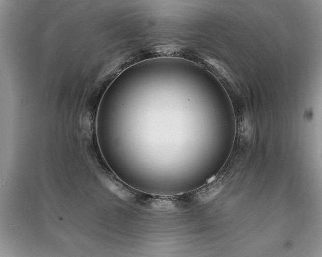 X0000091220572200708091411