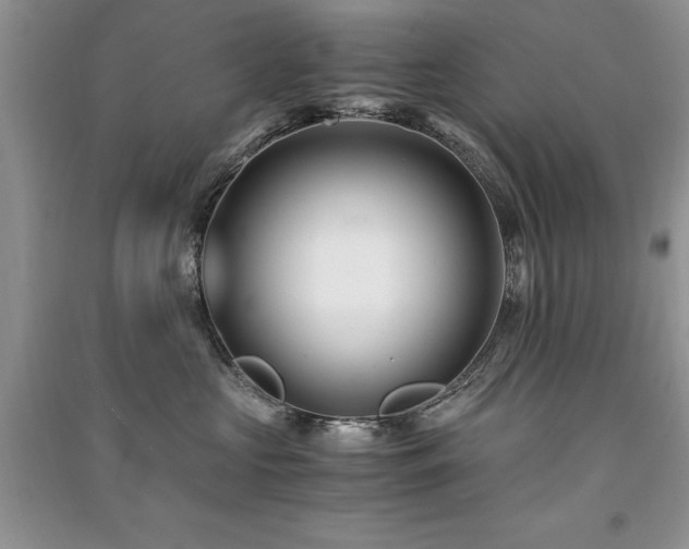 X0000091220573200708091411