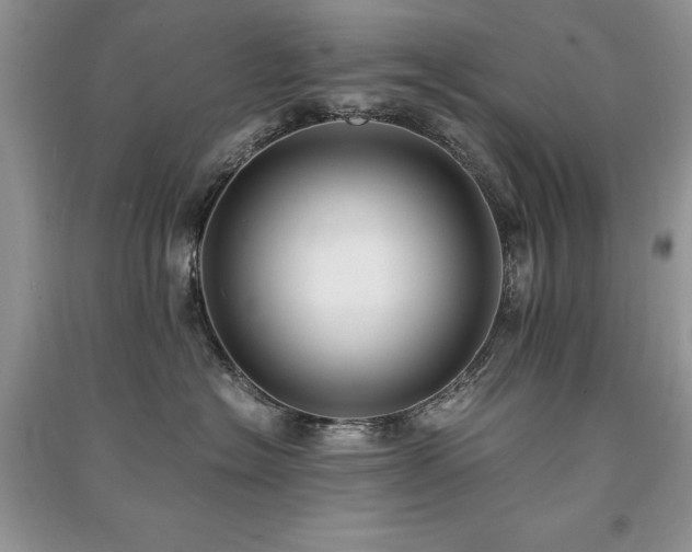 X0000091220574200708091411