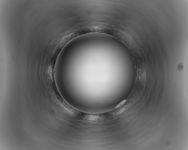 X0000091220575200708091411