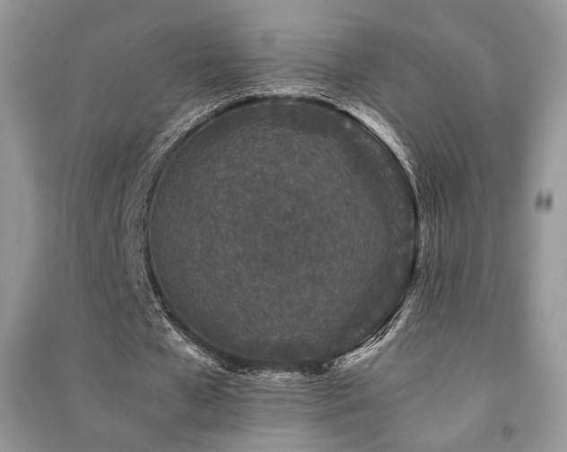 X0000091220577200708091410