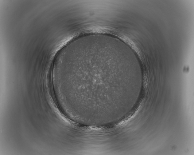 X0000091220581200708091410