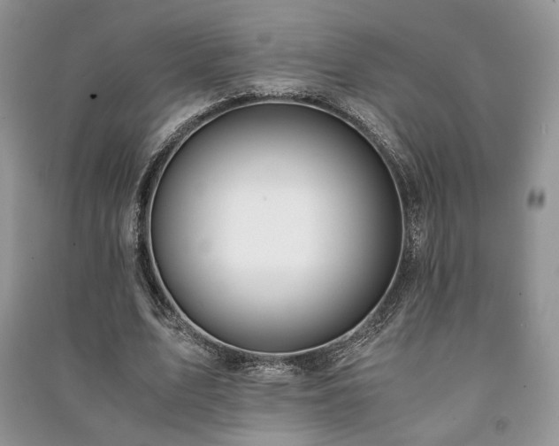 X0000091220583200708091410