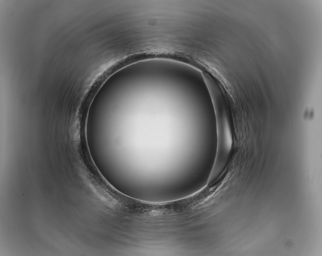 X0000091220584200708091410