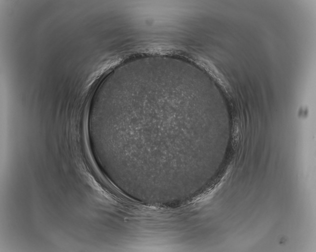 X0000091220585200708091410