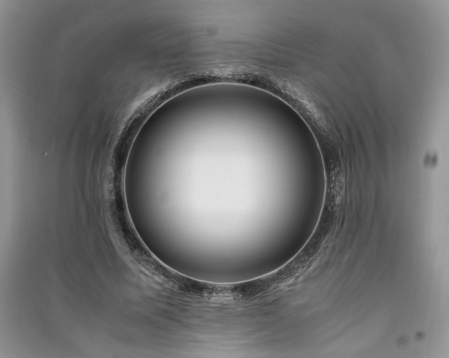 X0000091220587200708091410