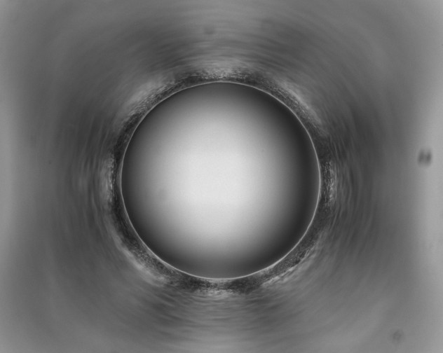 X0000091220590200708091410