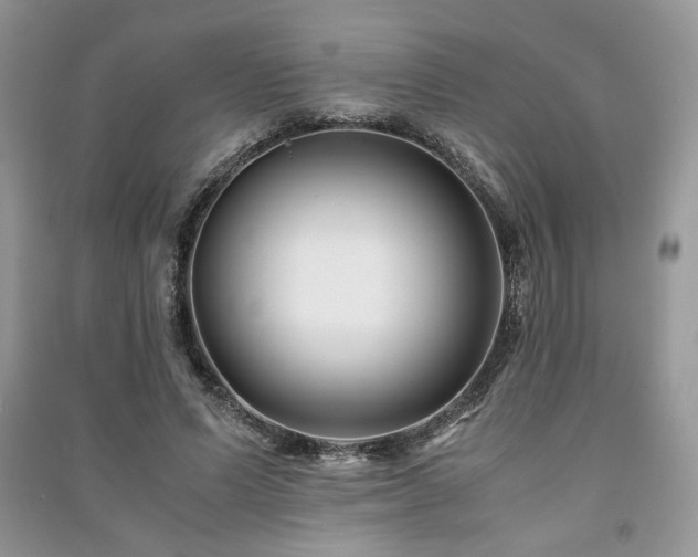 X0000091220591200708091410