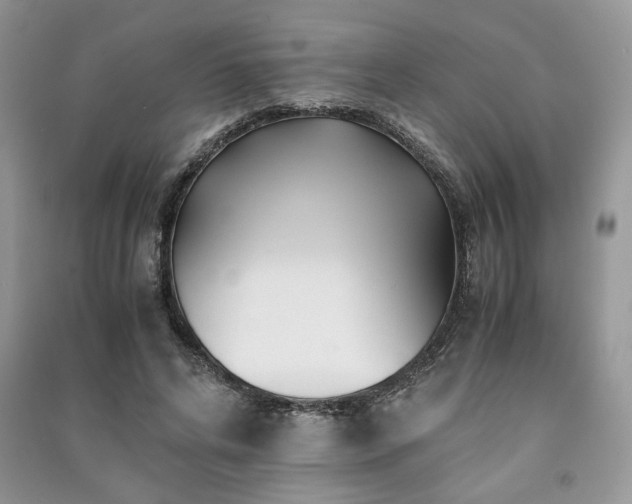 X0000091220592200708091410