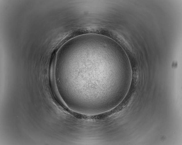 X0000091220593200708091410