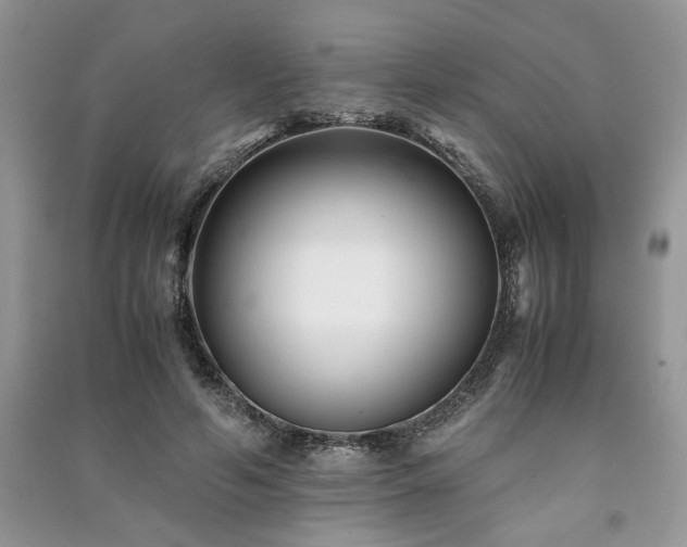 X0000091220594200708091410