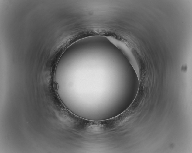 X0000091220595200708091410