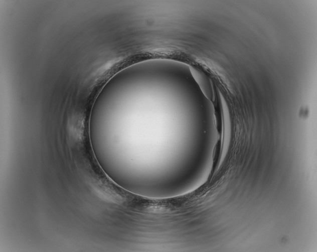 X0000091220596200708091410