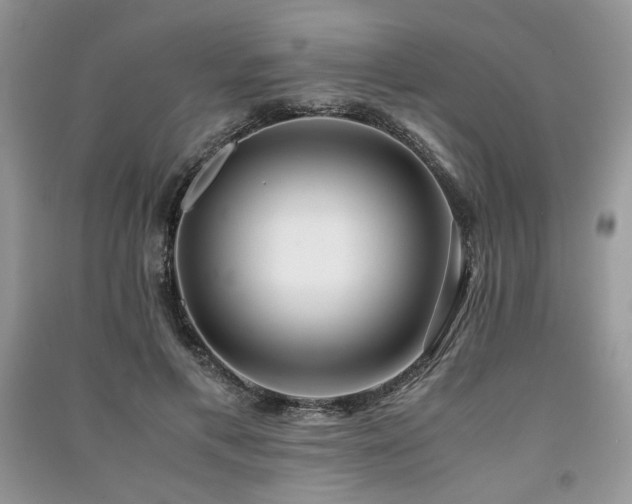 X0000091220597200708091410