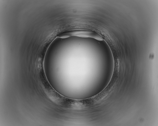 X0000091220598200708091410