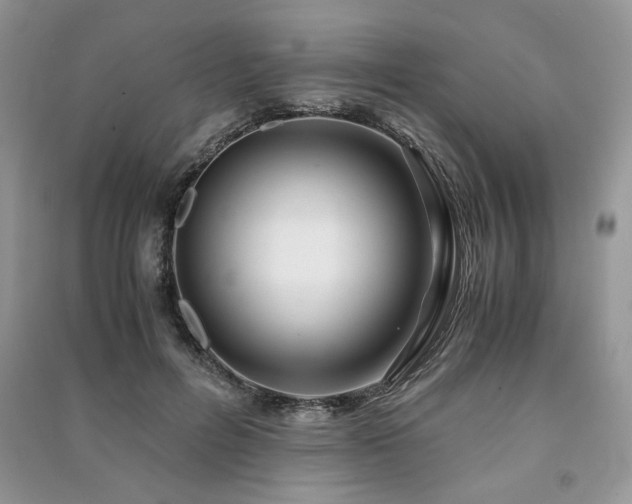 X0000091220600200708091410