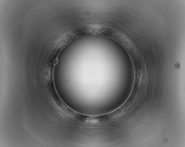 X0000091220602200708091410