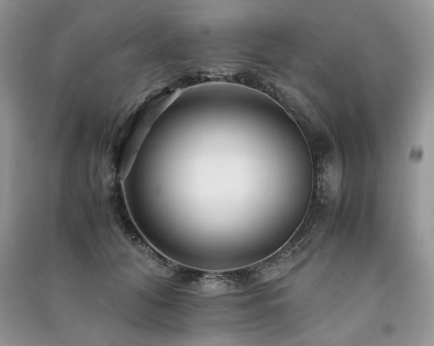 X0000091220608200708091410