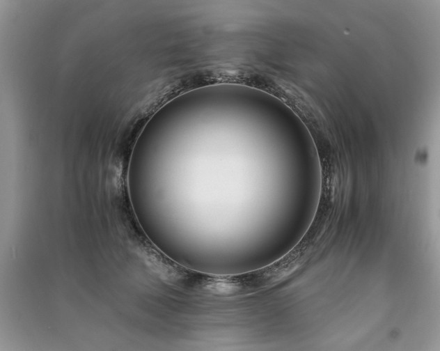 X0000091220610200708091410